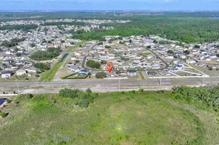 169 Big Black Dr, Kissimmee, FL 34759 - Photo 45