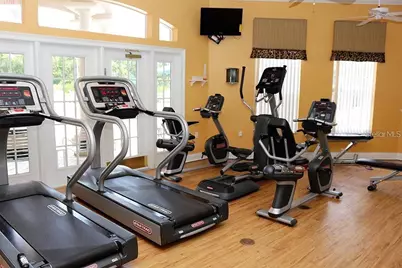 8515 Palm Harbor Drive, Kissimmee, FL 34747 - Photo 59