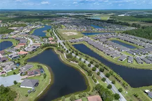 2459 Palm Tree Dr, Kissimmee, FL 34759 - Photo 43