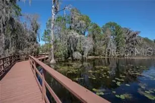 7996 Edgewood Forest Dr, Orlando, FL 32827 - Photo 19