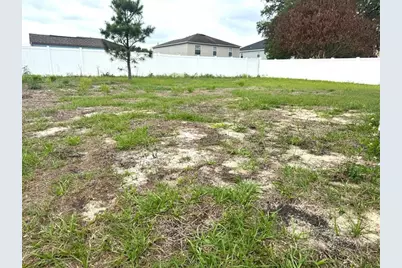 863 Hudson Valley Drive, Kissimmee, FL 34759 - Photo 19