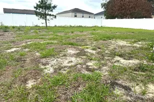 863 Hudson Valley Dr, Kissimmee, FL 34759 - Photo 19