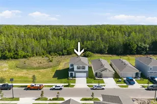 17786 Acorn Drop Rd, Land O Lakes, FL 34638 - Photo 3