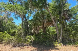 3137 Calexico St, Port Charlotte, FL 33948 - Photo 1