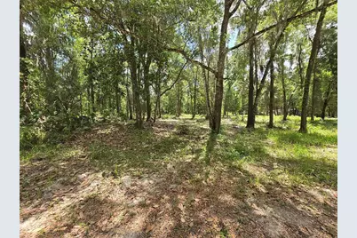 0 SW 15th Place, Ocala, FL 34481 - Photo 5