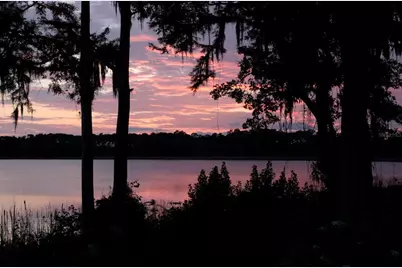 10206 Fallsgrove Street, Orlando, FL 32836 - Photo 25