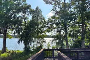 10206 Fallsgrove St, Orlando, FL 32836 - Photo 35