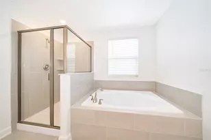 11756 Language Wy, Orlando, FL 32832 - Photo 11