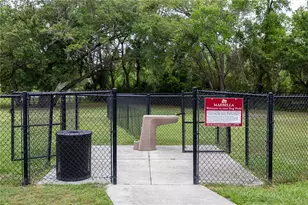 2824 Noble Crow Dr, Kissimmee, FL 34744 - Photo 47