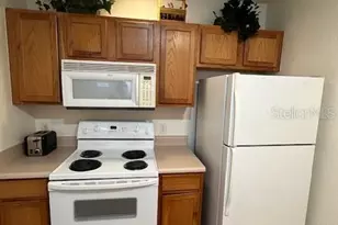 2290 San Vital Dr, Kissimmee, FL 34741 - Photo 9