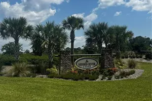 3601 Hidden River Ln, Tavares, FL 32778 - Photo 45