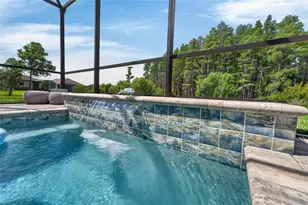 19474 Ship Wheel Wy, Land O Lakes, FL 34638 - Photo 47