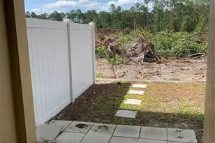 8140 Serenity Springs Dr, Windermere, FL 34786 - Photo 11