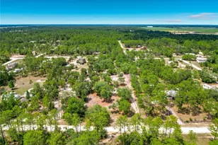 14671 SE 25 St, Morriston, FL 32668 - Photo 21