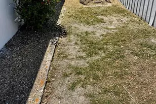 2148 Catalina Dr N, Clearwater, FL 33763 - Photo 29