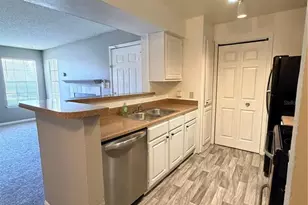 4367 Thornbriar Ln, Orlando, FL 32822 - Photo 7