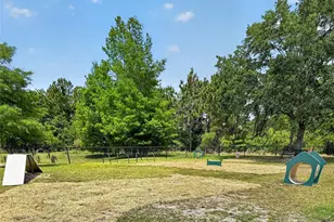 14002 Avenue of the Groves, Winter Garden, FL 34787 - Photo 31