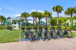 2916 On The Rocks Pt, Kissimmee, FL 34747 - Photo 73