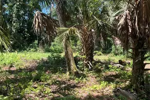 1735 Timocuan Way, Longwood, FL 32750 - Photo 29