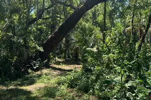 1735 Timocuan Way, Longwood, FL 32750 - Photo 23