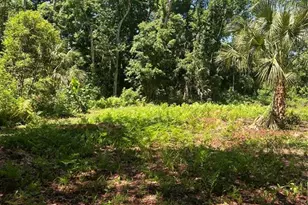 1735 Timocuan Way, Longwood, FL 32750 - Photo 19