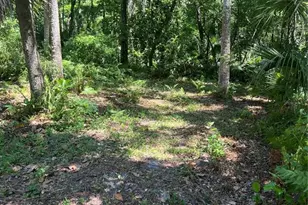 1735 Timocuan Way, Longwood, FL 32750 - Photo 11