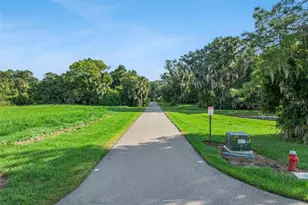 3654 Hidden River Ln, Tavares, FL 32778 - Photo 37