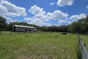 2982 N 6th St, Orlando, FL 32820 - Photo 25