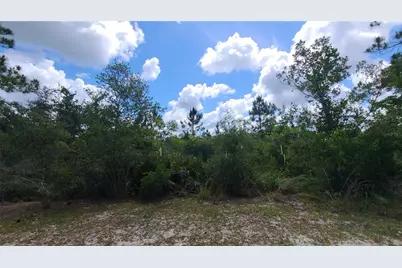 2575 Bear Run S, Frostproof, FL 33843 - Photo 11