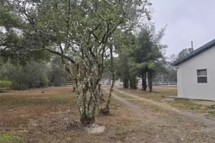 16225 Whippoorwill Ln, Spring Hill, FL 34610 - Photo 37