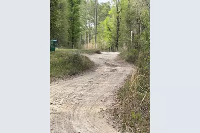 0000 NE 125th Street, Bronson, FL 32621 - Photo 13