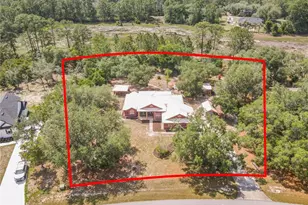 39903 Greenbrier St, Eustis, FL 32736 - Photo 65