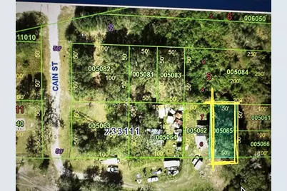 0 Cain Street, Mulberry, FL 33860 - Photo 3