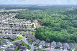 315 Ridge View Dr, Davenport, FL 33837 - Photo 39