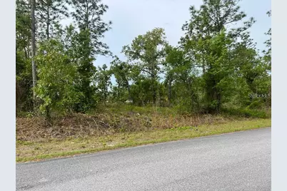Southwest Pensacola Drive, Dunnellon, FL 34431 - Photo 3