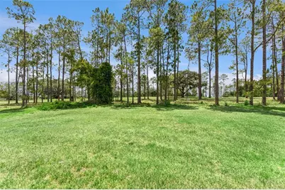 259 N Hampton, Davenport, FL 33897 - Photo 51