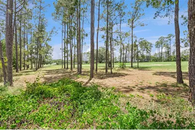 259 Northampton Drive, Davenport, FL 33897 - Photo 53