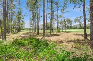 259 Northampton Dr, Davenport, FL 33897 - Photo 53