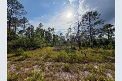 56309 Virginia Street, Paisley, FL 32767 - Photo 9