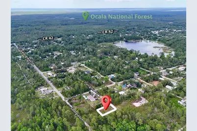 56309 Virginia Street, Paisley, FL 32767 - Photo 5