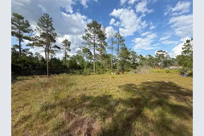 56309 Virginia Street, Paisley, FL 32767 - Photo 7