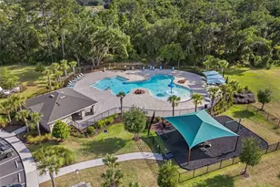 2722 Puffin Pl, Davenport, FL 33837 - Photo 1