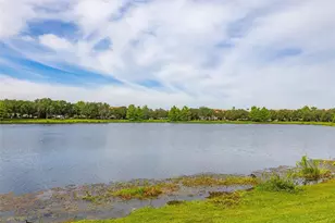 7435 Ripplepointe Way, Windermere, FL 34786 - Photo 57