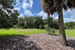 3924 Sunnybrook Ct, Orlando, FL 32820 - Photo 53