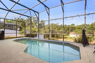 417 Wildflower Rd, Davenport, FL 33837 - Photo 3