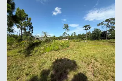6139 Krazy, Saint Cloud, FL 34773 - Photo 5