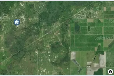 Holopaw Groves Road Lot 14, Saint Cloud, FL 34771 - Photo 3