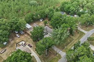 25335 Mardon Cir, Paisley, FL 32767 - Photo 39