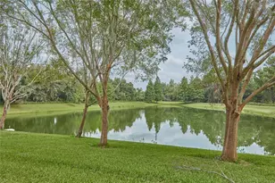 8515 Crystal Cove Loop, Kissimmee, FL 34747 - Photo 29