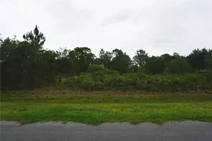 Reynolds Pkwy, Orlando, FL 32833 - Photo 1